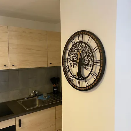 Apartment Black Forest In Rottweil