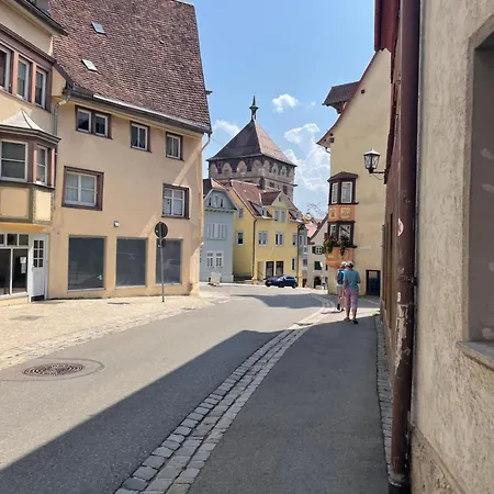 Black Forest In Apartment