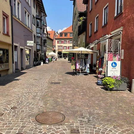 Black Forest In Apartment