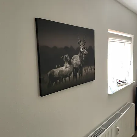 Black Forest In Apartment *