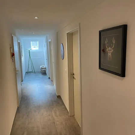 Black Forest In Rottweil